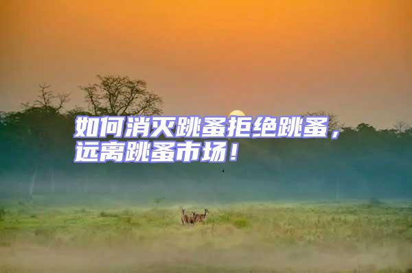 如何消滅跳蚤拒絕跳蚤，遠(yuǎn)離跳蚤市場！