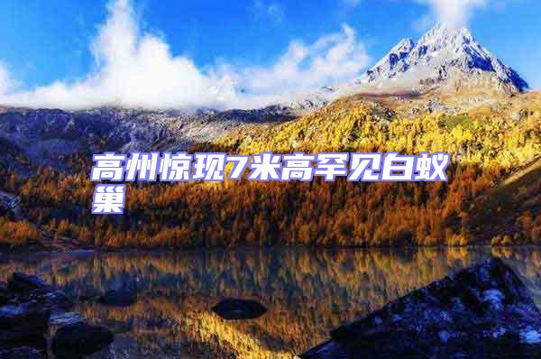 高州驚現(xiàn)7米高罕見(jiàn)白蟻巢