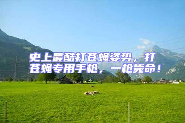 史上最酷打蒼蠅姿勢，打蒼蠅專用手槍，一槍斃命！