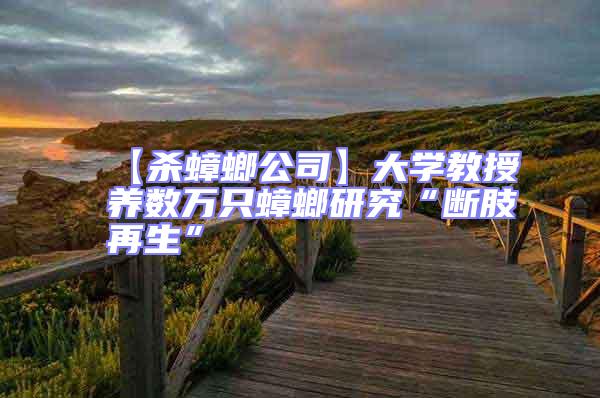 【殺蟑螂公司】大學(xué)教授養(yǎng)數(shù)萬只蟑螂研究“斷肢再生”