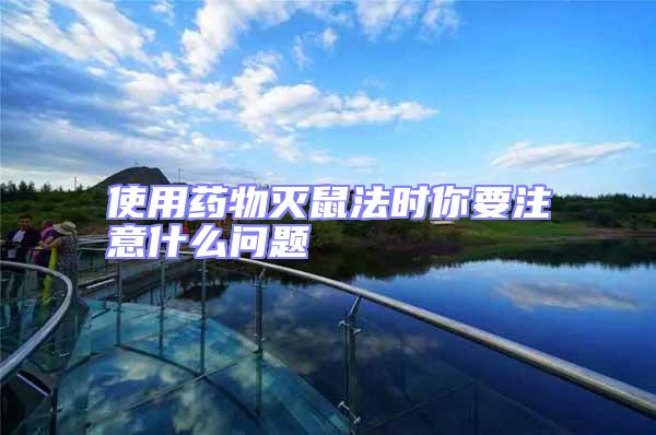 使用藥物滅鼠法時(shí)你要注意什么問題