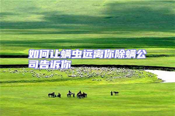 如何讓螨蟲(chóng)遠(yuǎn)離你除螨公司告訴你