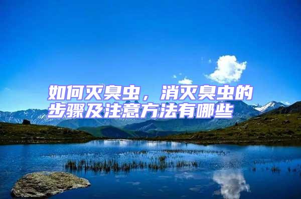 如何滅臭蟲(chóng)，消滅臭蟲(chóng)的步驟及注意方法有哪些