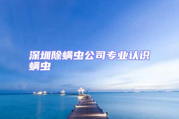 深圳除螨蟲公司專業認識螨蟲