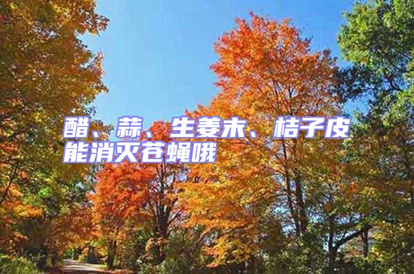 醋、蒜、生姜末、桔子皮能消滅蒼蠅哦