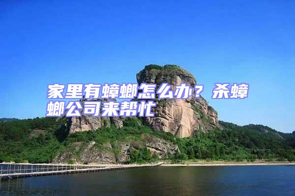 家里有蟑螂怎么辦？殺蟑螂公司來幫忙