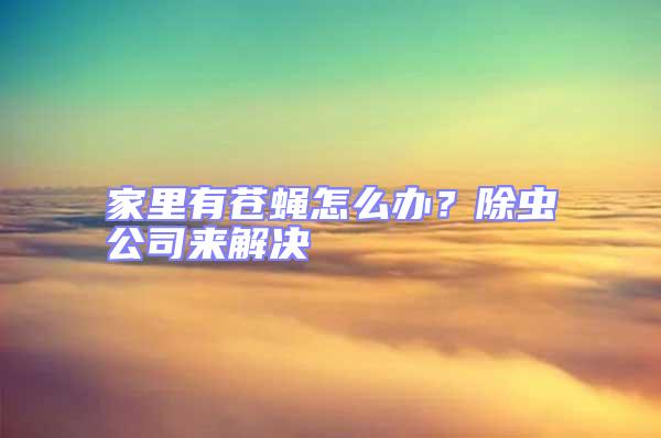 家里有蒼蠅怎么辦？除蟲公司來解決
