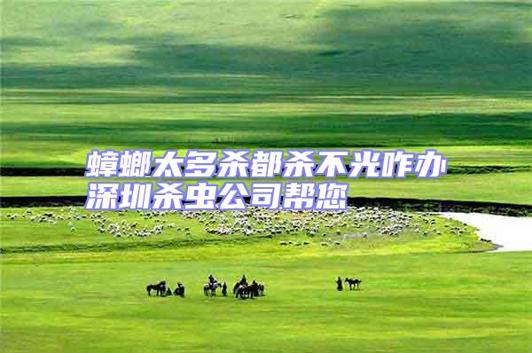 蟑螂太多殺都?xì)⒉还庹k深圳殺蟲公司幫您