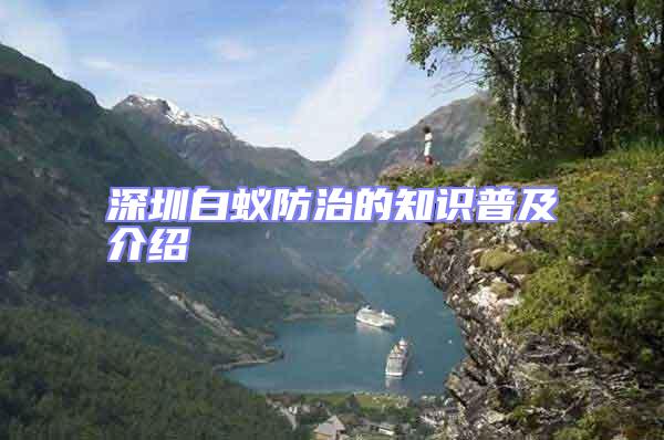 深圳白蟻防治的知識普及介紹