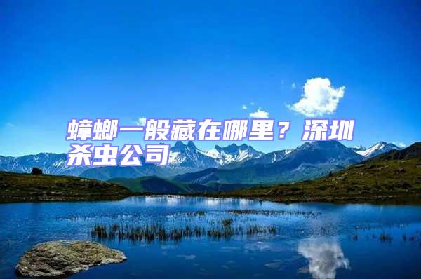 蟑螂一般藏在哪里？深圳殺蟲公司