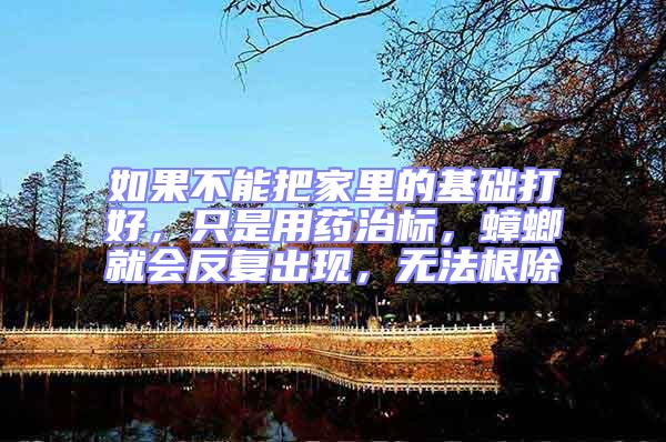 如果不能把家里的基礎打好,只是用藥治標,蟑螂就會反復出現,無法根除