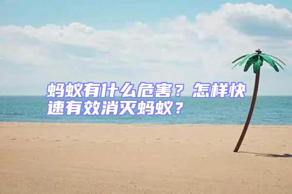 螞蟻有什么危害？怎樣快速有效消滅螞蟻？