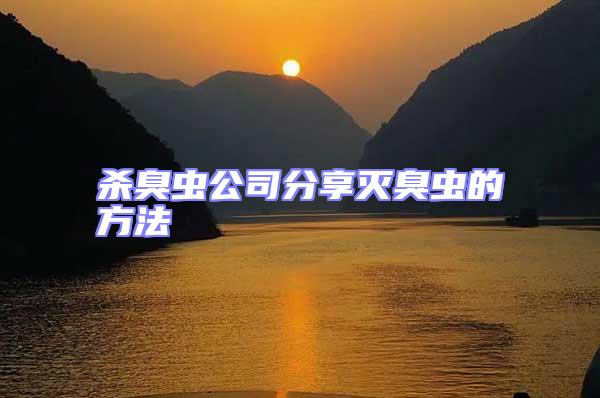 殺臭蟲公司分享滅臭蟲的方法