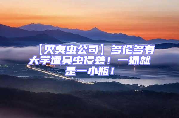 【滅臭蟲公司】多倫多有大學(xué)遭臭蟲侵襲！一抓就是一小瓶！