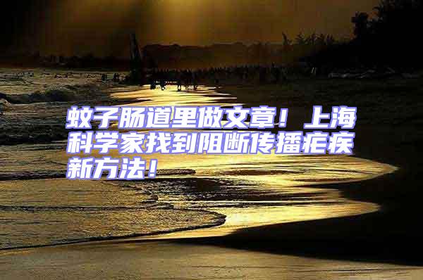 蚊子腸道里做文章！上海科學家找到阻斷傳播瘧疾新方法！