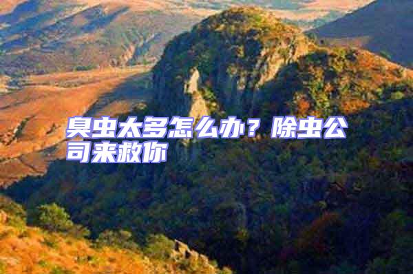 臭蟲(chóng)太多怎么辦？除蟲(chóng)公司來(lái)救你