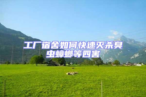 工廠宿舍如何快速滅殺臭蟲蟑螂等四害