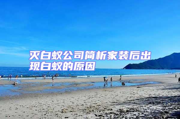 滅白蟻公司簡(jiǎn)析家裝后出現(xiàn)白蟻的原因