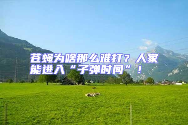 蒼蠅為啥那么難打？人家能進(jìn)入“子彈時(shí)間”！