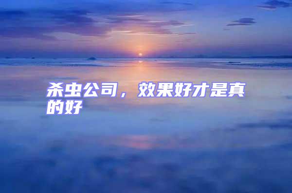 殺蟲公司，效果好才是真的好