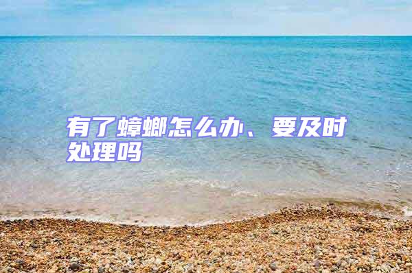 有了蟑螂怎么辦、要及時處理嗎