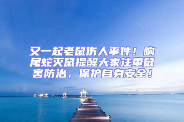 又一起老鼠傷人事件！響尾蛇滅鼠提醒大家注重鼠害防治，保護自身安全！