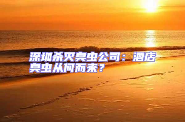 深圳殺滅臭蟲公司：酒店臭蟲從何而來？