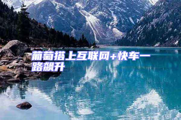 葡萄搭上互聯網+快車一路飆升