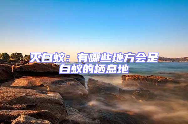 滅白蟻：有哪些地方會(huì)是白蟻的棲息地