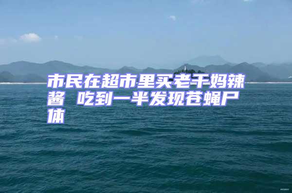 市民在超市里買(mǎi)老干媽辣醬 吃到一半發(fā)現(xiàn)蒼蠅尸體