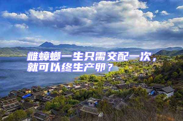 雌蟑螂一生只需交配一次，就可以終生產(chǎn)卵？