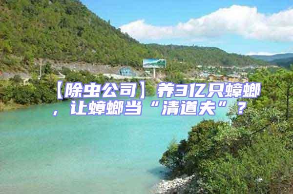 【除蟲(chóng)公司】養(yǎng)3億只蟑螂，讓蟑螂當(dāng)“清道夫”？