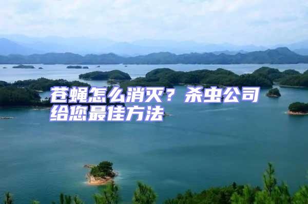 蒼蠅怎么消滅？殺蟲公司給您最佳方法