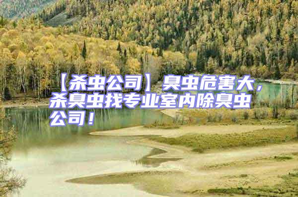 【殺蟲公司】臭蟲危害大，殺臭蟲找專業室內除臭蟲公司！