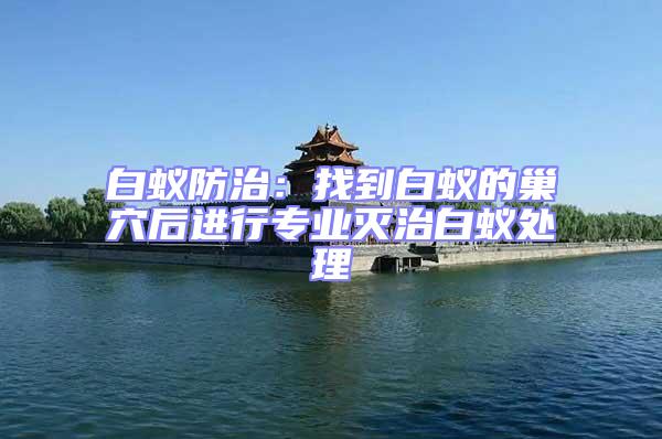 白蟻防治:找到白蟻的巢穴后進行專業滅治白蟻處理