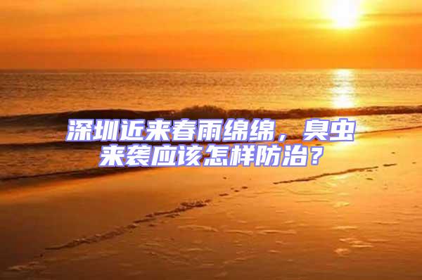 深圳近來春雨綿綿，臭蟲來襲應(yīng)該怎樣防治？