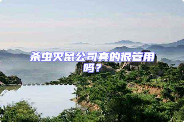 殺蟲滅鼠公司真的很管用嗎？