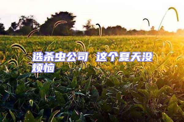 選殺蟲公司 這個(gè)夏天沒煩惱