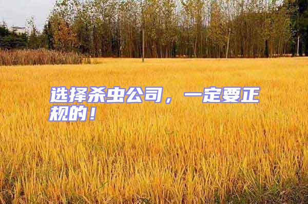 選擇殺蟲公司，一定要正規(guī)的！