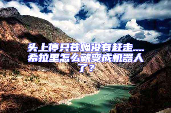 頭上停只蒼蠅沒有趕走....希拉里怎么就變成機器人了？
