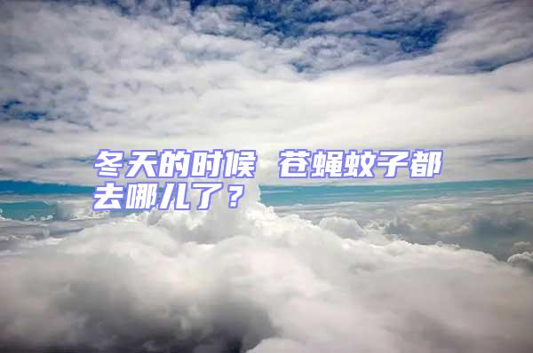 冬天的時候 蒼蠅蚊子都去哪兒了？