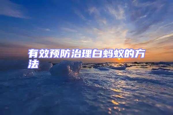 有效預防治理白螞蟻的方法