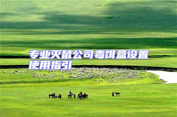 專業(yè)滅鼠公司毒餌盒設(shè)置使用指引