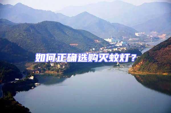 如何正確選購滅蚊燈？