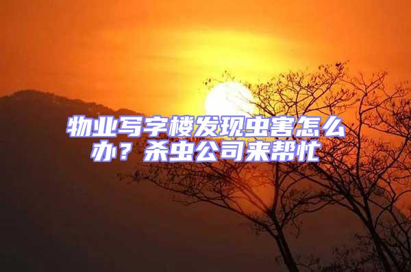 物業(yè)寫字樓發(fā)現(xiàn)蟲(chóng)害怎么辦？殺蟲(chóng)公司來(lái)幫忙