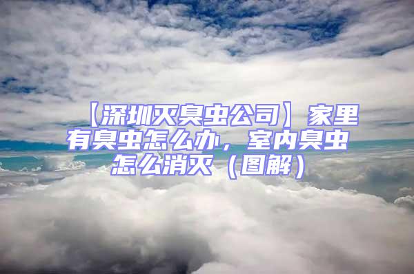 【深圳滅臭蟲公司】家里有臭蟲怎么辦，室內(nèi)臭蟲怎么消滅（圖解）