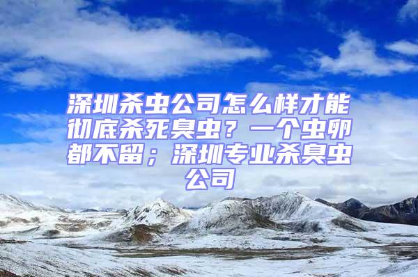 深圳殺蟲公司怎么樣才能徹底殺死臭蟲？一個蟲卵都不留；深圳專業殺臭蟲公司