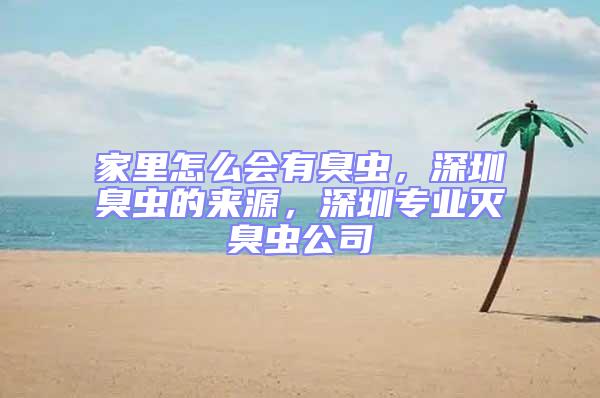 家里怎么會有臭蟲，深圳臭蟲的來源，深圳專業滅臭蟲公司