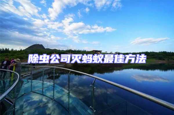 除蟲公司滅螞蟻最佳方法