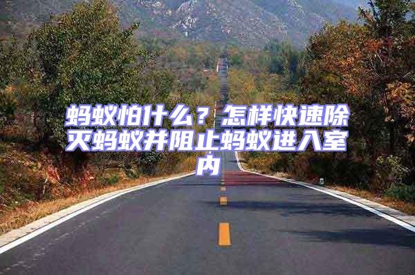 螞蟻怕什么?怎樣快速除滅螞蟻并阻止螞蟻進入室內